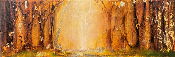 Forest Story