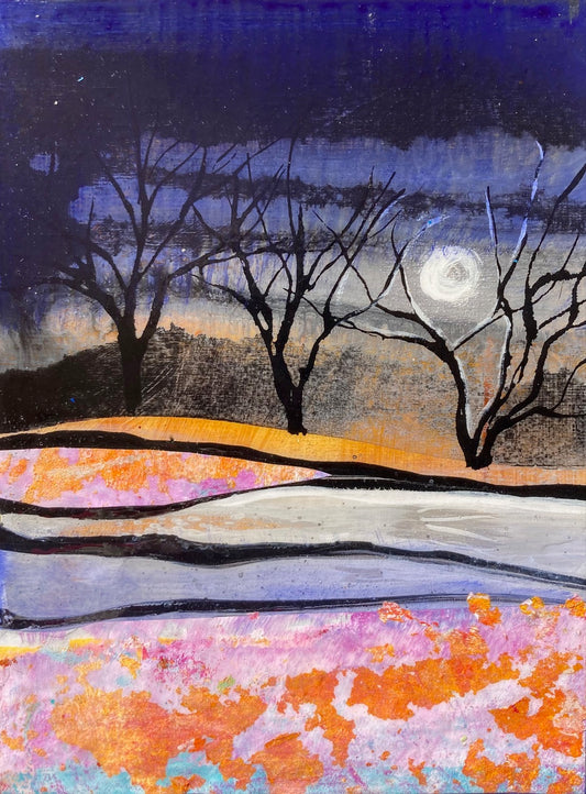 Northern Light Reflection